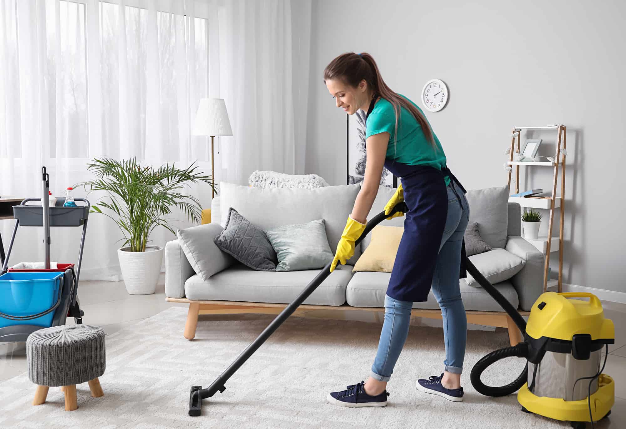 Anay Cleaning Services LLCRegular Cleaning